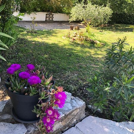 Sainte-Anastasie-sur-Issole Villa Quinissole المظهر الخارجي الصورة